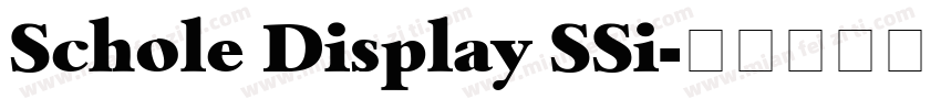 Schole Display SSi字体转换